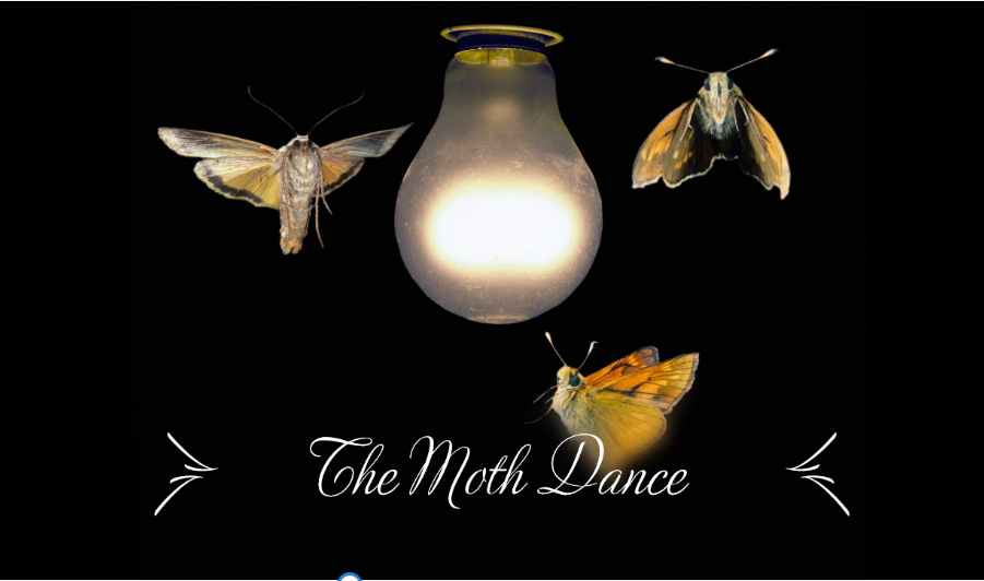 You are currently viewing The Moth Dance