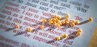 Read more about the article Faith Like A Mustard Seed