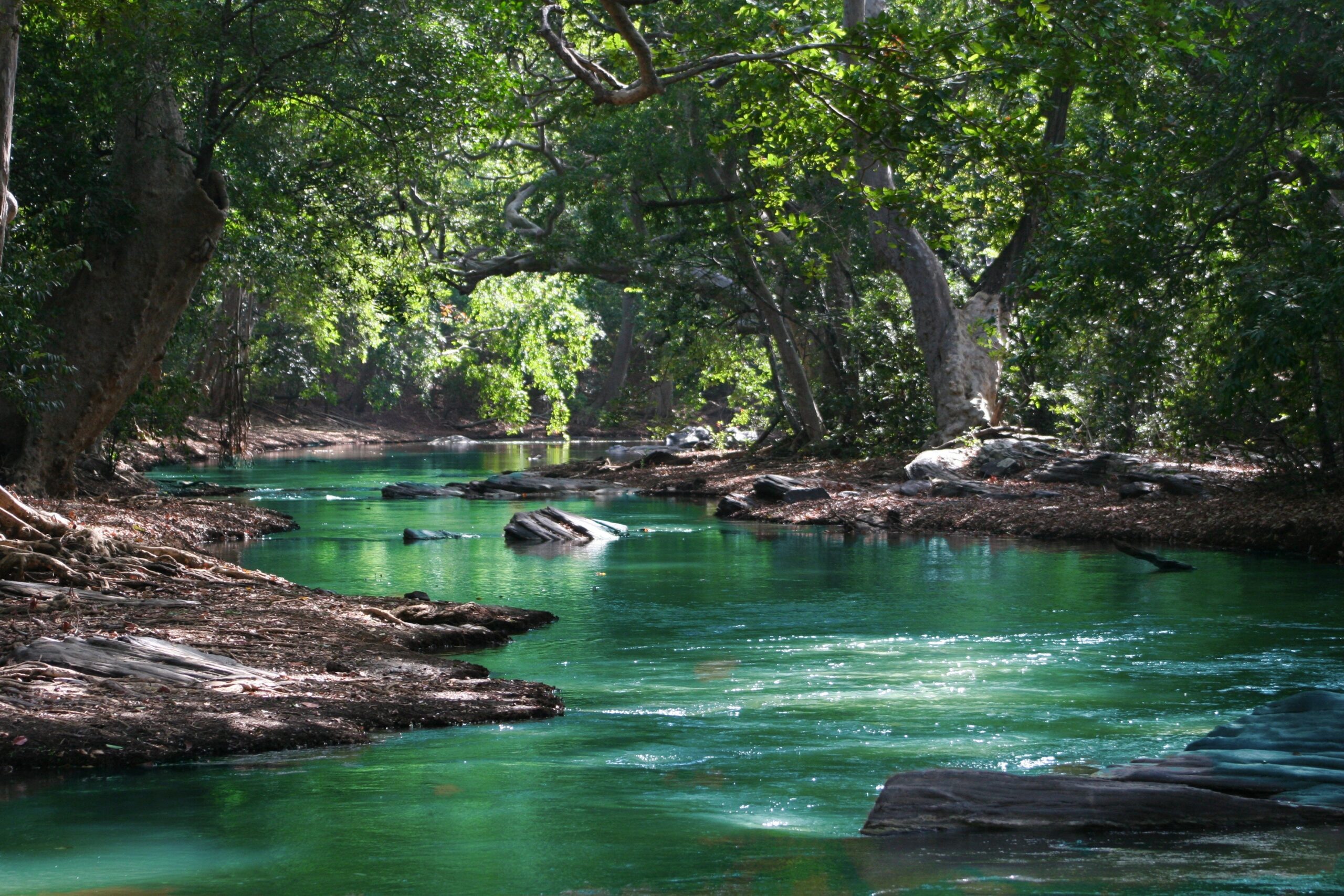 You are currently viewing The River